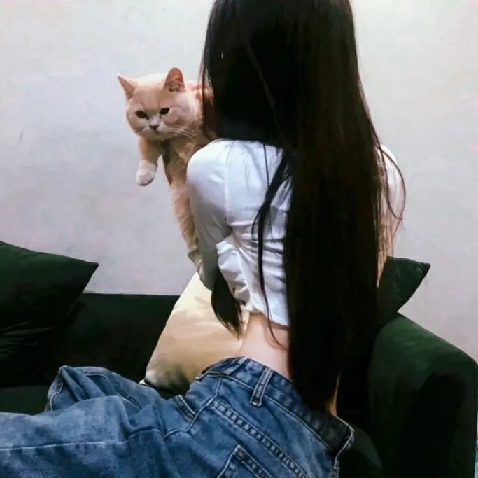 连环情杀案